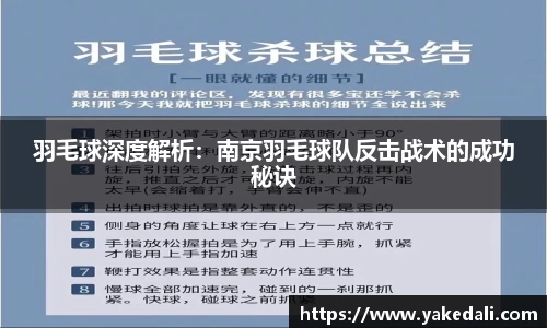 羽毛球深度解析：南京羽毛球队反击战术的成功秘诀